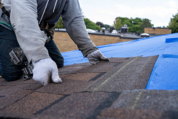 Best Commercial Roofing Services  in Wmington, IL
